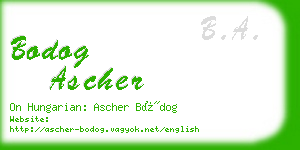 bodog ascher business card
